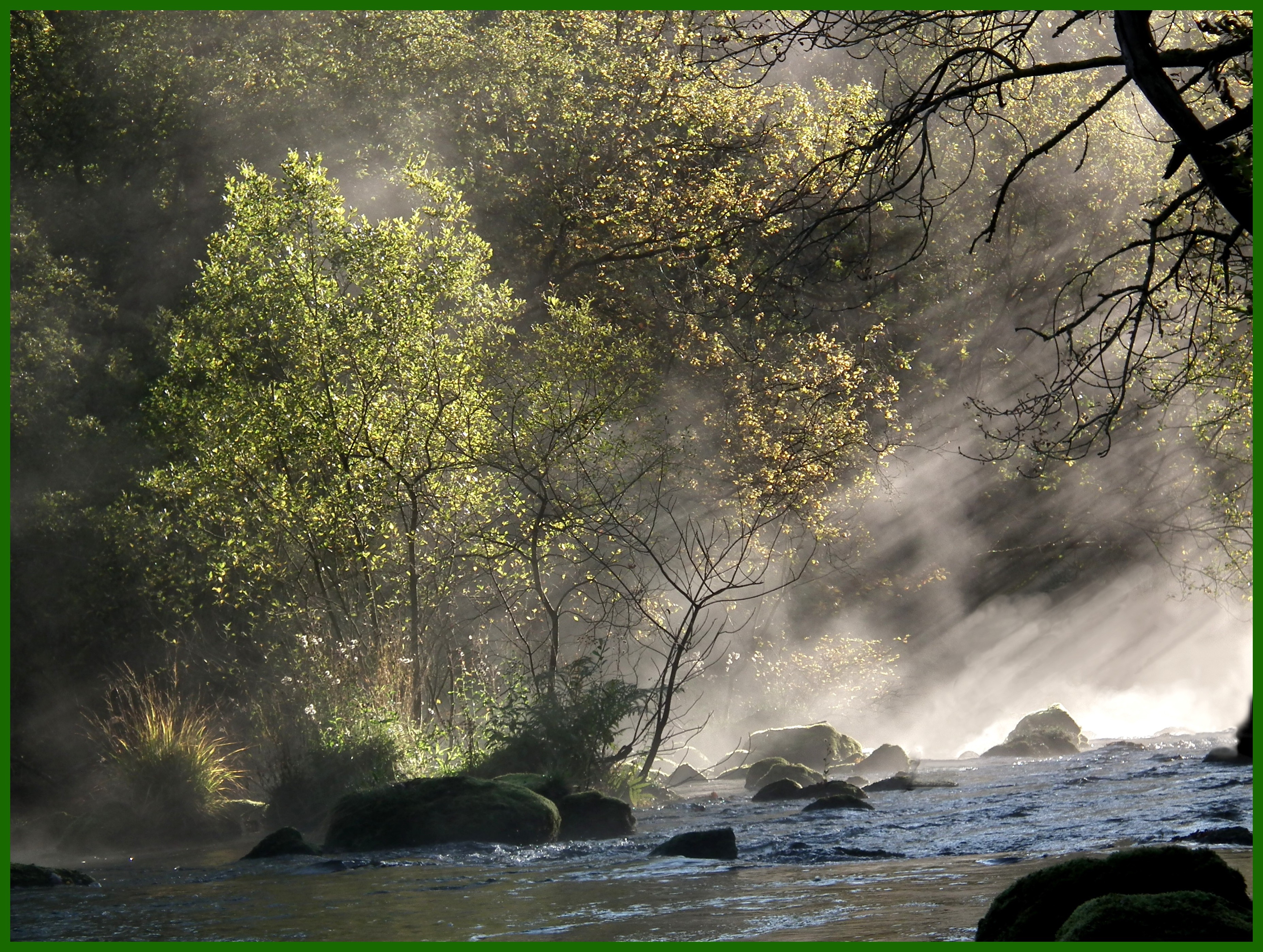 MISTY CLYWEDOG Bill Bagley Photography